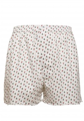 Intimo uomo stampa Natale